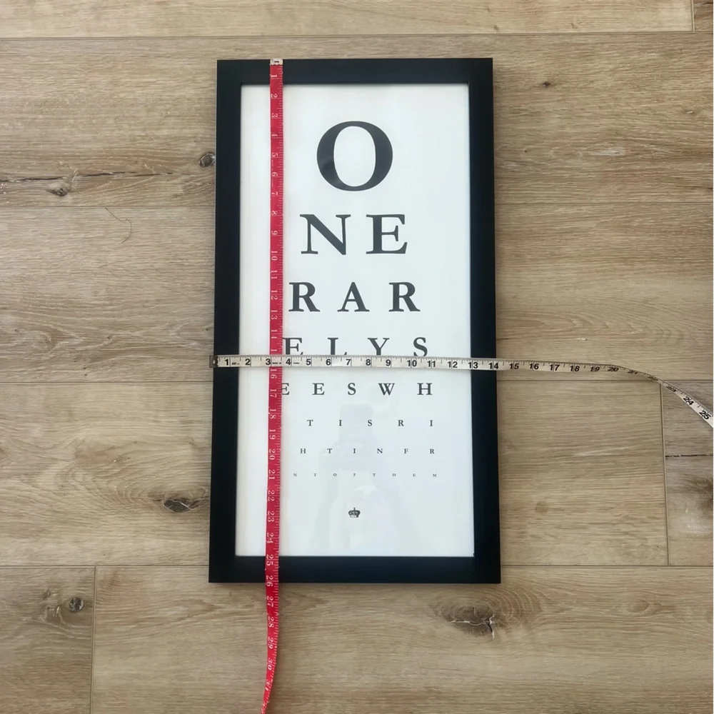 Framed Z Gallerie One Rarely Sees Eye Chart Wall Art